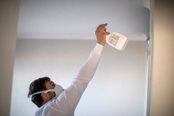 Professional Mold Removal in Ludington, MI