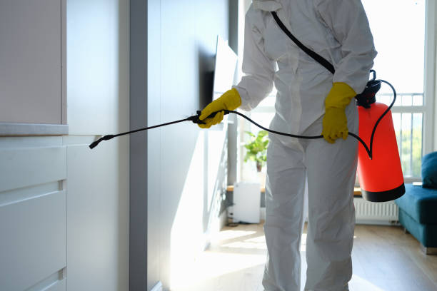 Crawl Space Mold Removal in Ludington, MI